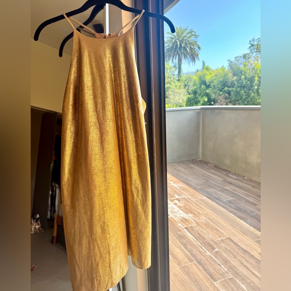 Halston Heritage Beige Slip Dress with Gold Trim